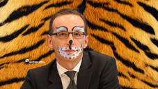 Samtpfoten statt Krallen