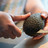 „Avocado-Hand“: Fälle häufen sich – vor allem bei Frauen Eine Frau zerteilt eine Avocado in ihren Händen mit einem Messer