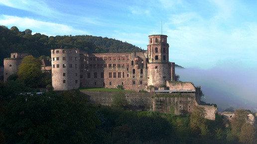 heidelberg luftbild schloss mathias-wacker ssg