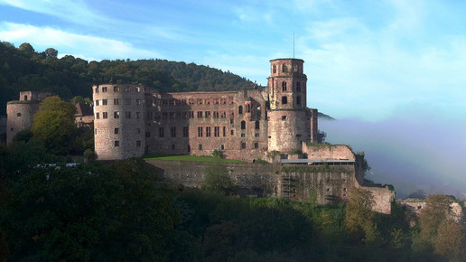 heidelberg luftbild schloss mathias-wacker ssg