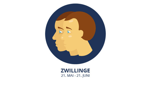 zwillinge