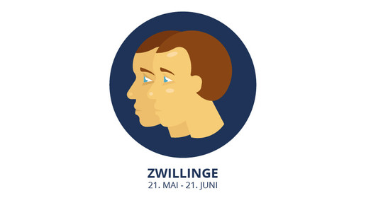 zwillinge