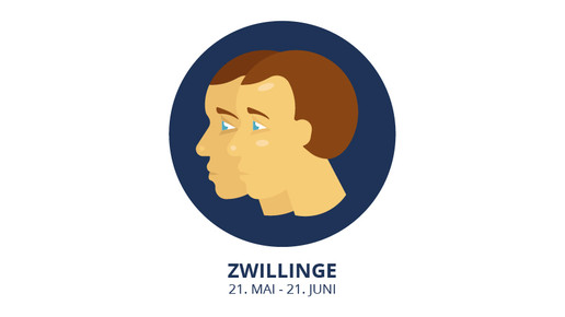 zwillinge