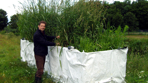 Biokohle-Kläranlage gegen Arzneimittelreste