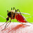 Mosquito auf der Haut eines menschen