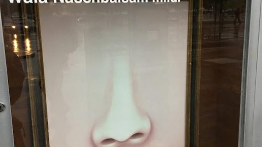 bellevue-apo fenster30 bellevue-apo