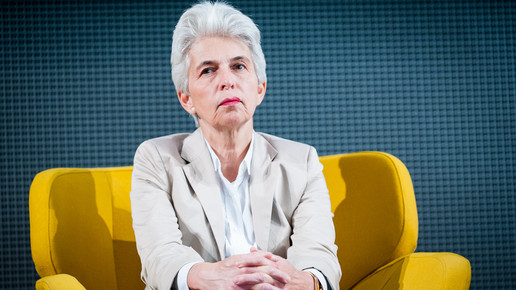 bvdva17 diskussion strack-zimmermann1 domma