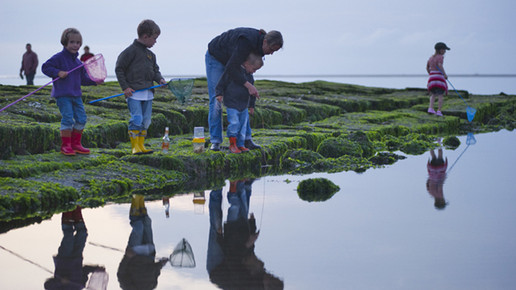 Fischen Buhne baltrum de