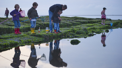 Fischen Buhne baltrum de
