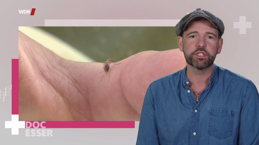 doc esser sonne muecken scs