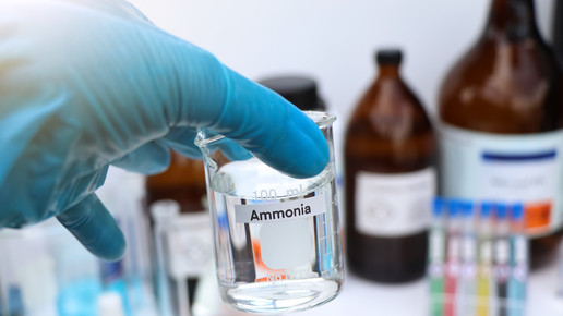 Verletzte bei Ammoniak-Austritt