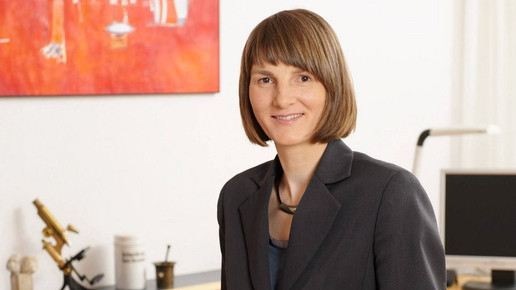 Apogepha starke apogepha