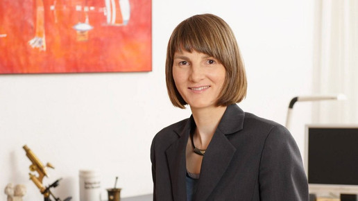 Apogepha starke apogepha