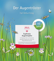 Illustration mit Blumenwiese, Bienen und Packung, eine Packung WALA Euphrasia Augentropfen im Vordergrund. Text: „Der Augentröster hat Geburtstag – 90 Jahre“. Darstellung feiert das Jubiläum des anthroposophischen Arzneimittels.