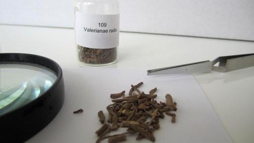 Valerianae radix 2 aa