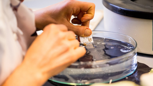 labor charite9 andreas domma