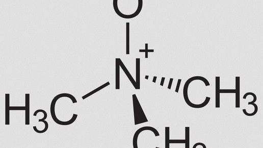 trimethylamin n oxid wikipedia