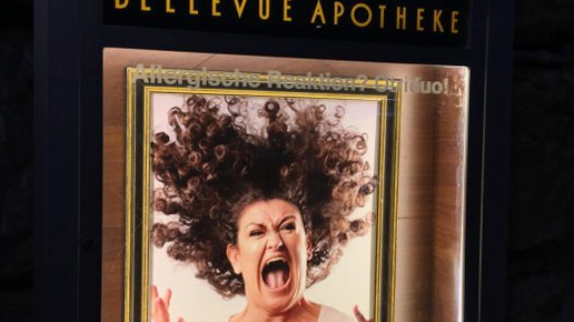 bellevue-apo fenster1 bellevue-apo