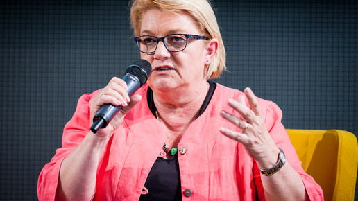 bvdva17 diskussion schulz-asche domma