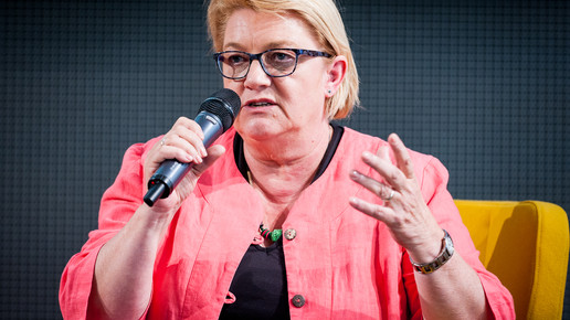 bvdva17 diskussion schulz-asche domma