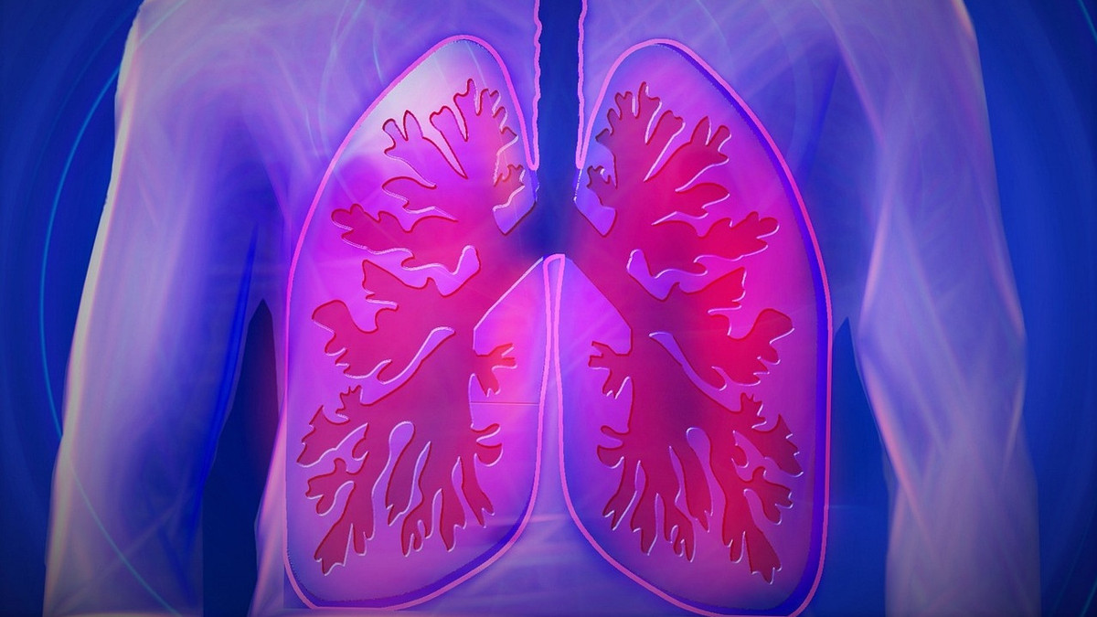 Anatomische Erkältungsreise – Lunge und Bronchien