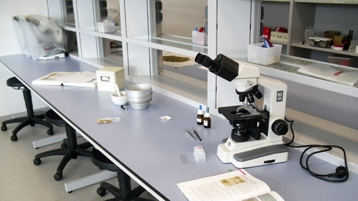 pta-schule loerrach labor5 deb