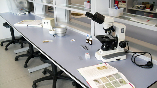 pta-schule loerrach labor5 deb