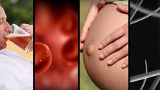 Zika, Mücken und wie man nicht gestochen wird