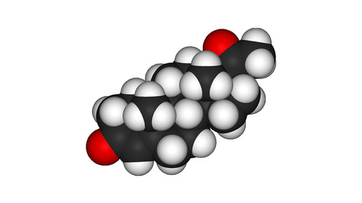 progesteron wikipedia