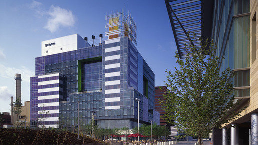 Lemtrada: Anwendung eingeschränkt