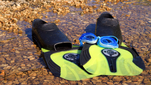 taucherflossen Marco Barnebeck pixelio de