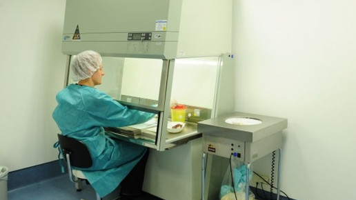 0006-1292411575 9481