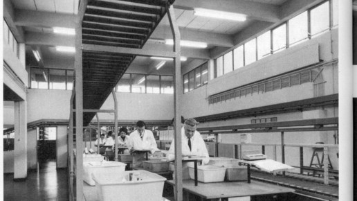 anzag Lager 1950 anzag