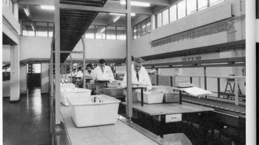 anzag Lager 1950 anzag