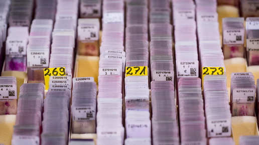 labor charite4 krebs andreas domma