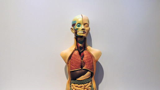 151002 impressionen expopharm 21