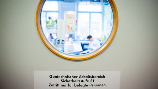 labor charite5 s1 andreas domma