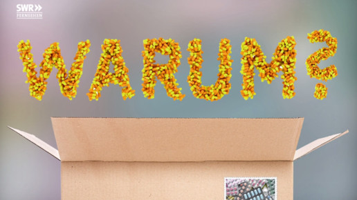 swr 170112versandhandel6 scs