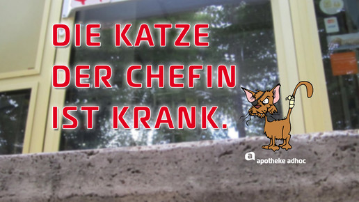 Katze krank