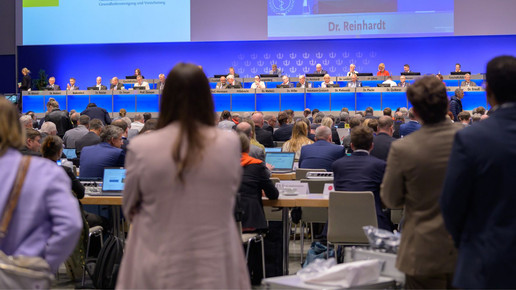 130. Deutscher Ärztetag - Plenum