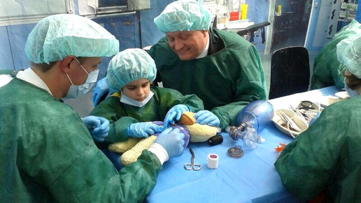 groehe teddyklinik twittergroehe