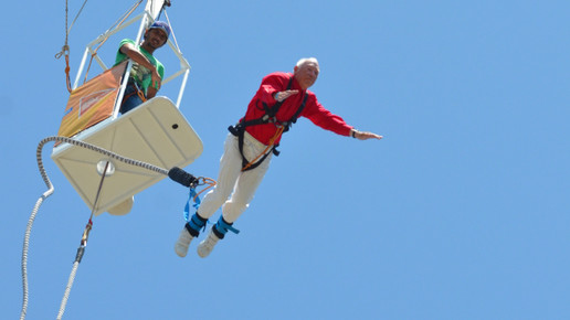 Wirz Bungeespringer7 Wirz