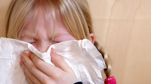 schnupfen erkaeltung s hofschlaeger pixelio de