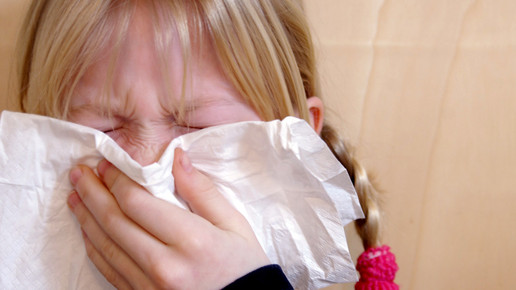 schnupfen erkaeltung s hofschlaeger pixelio de