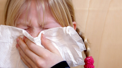 schnupfen erkaeltung s hofschlaeger pixelio de