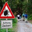 Nach Zeckenbiss: Mehr Borreliose-Fälle als im Vorjahr