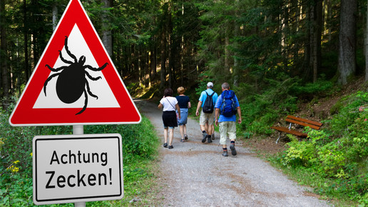 Symbolbild: Ein Warnschild mit der Aufschrift „Achtung Zecken!“ steht gut sichtbar am Rande eines Waldwegs; im Hintergrund ist eine Familie beim Spaziergang zu sehen. 