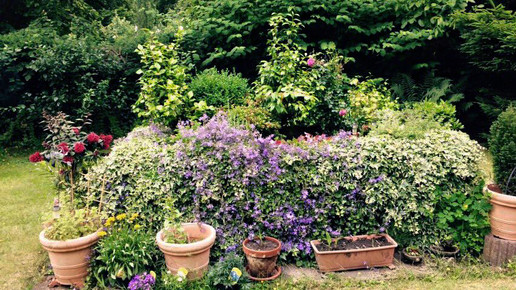 Netto-Markt Garten Oberhausen Buergerinitiative Osterfeld Heide
