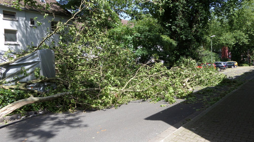 Verbraucherzentrale: Sturmschäden umgehend melden