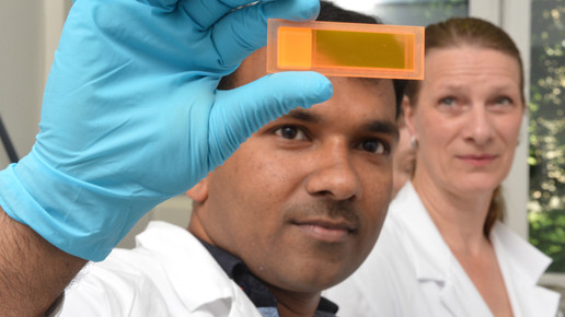 Schnelltest für Pest